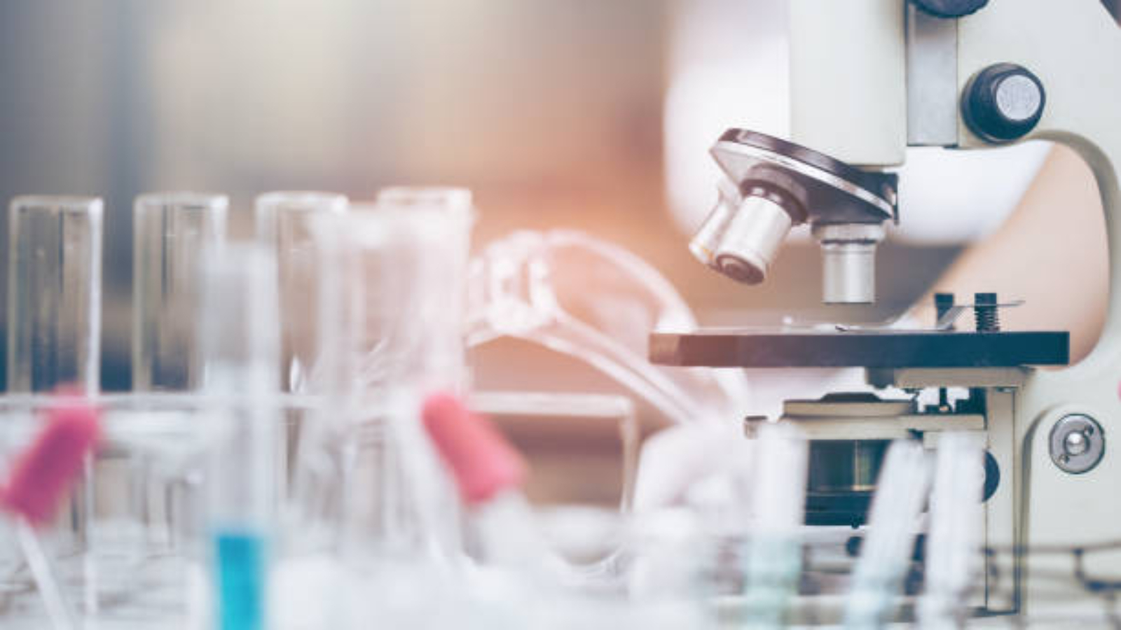 Stay Informed on Legal Frameworks: A Guide for Research