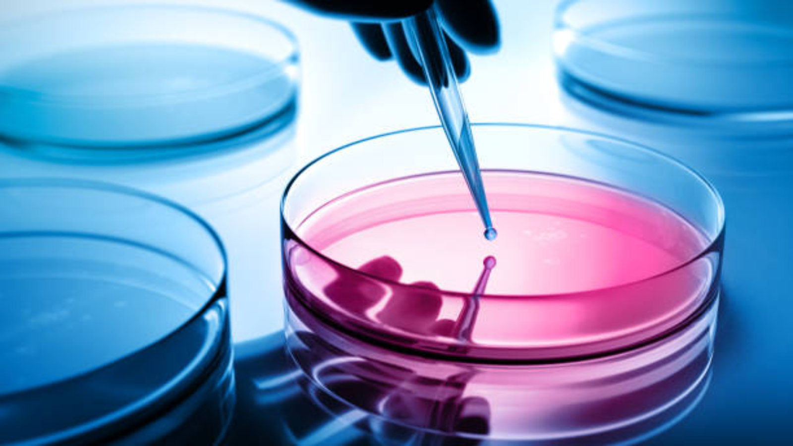 JWH-210 Synthetic Cannabinoid: Laboratory Research Applications