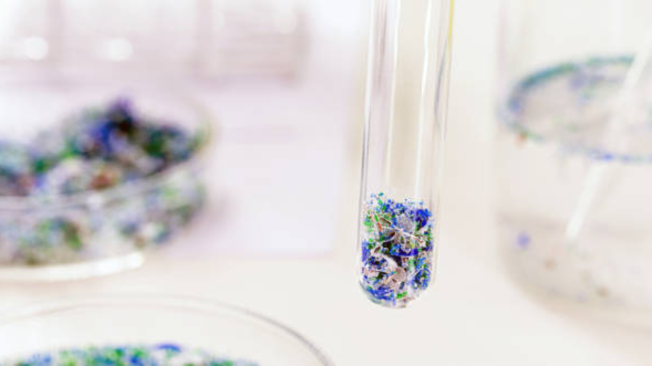 Using Phenethylamines in Behavioral Research | Usage