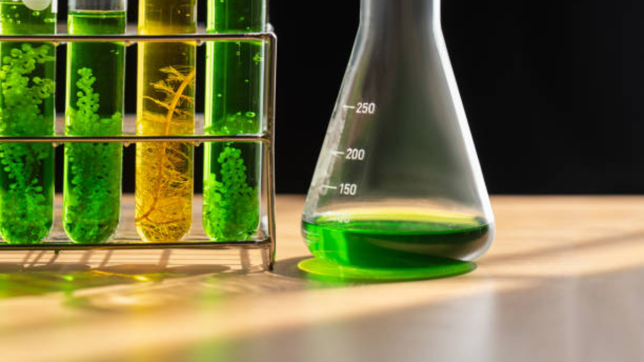 Blockchain Chemical Traceability: Revolutionizing Research