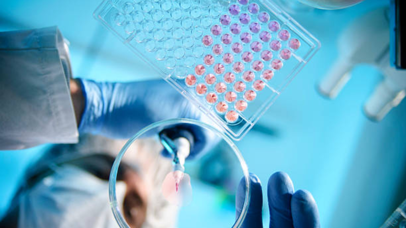 Differences Between Research Chemicals and Substances