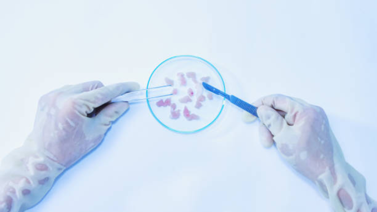 Synthetic Cannabinoid Research: Trends and the Future