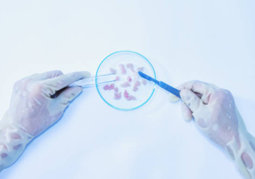 Synthetic Cannabinoid Research: Trends and the Future