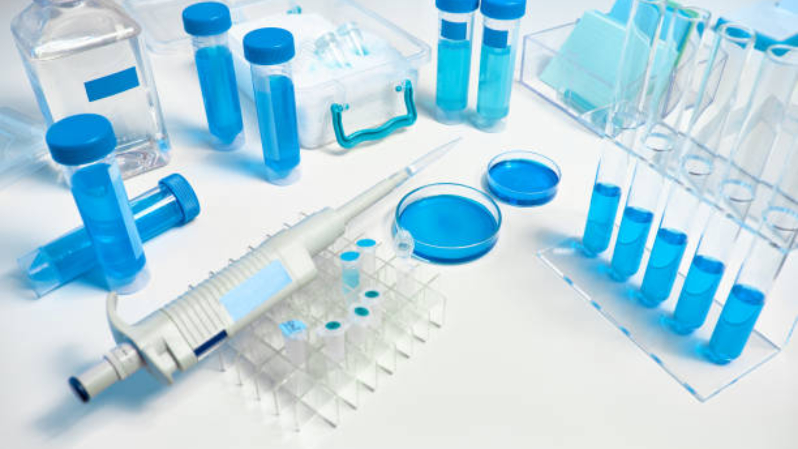 Phenethylamines Role Research: Understanding Their Applications